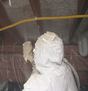 Brampton ON crawl space insulation